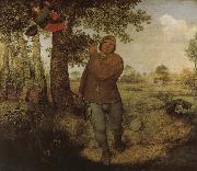 From farmers and Selenocosmia Pieter Bruegel